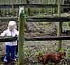 Kaylie checks fence rail