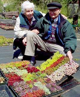 Bill and Lola Zimmerman at the HerbFarm displaying Sedums