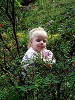 Kaylie picking huckleberries