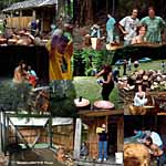 Cutting wood at the cabin