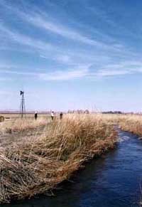 Irrigation ditch above the farm