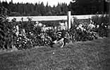 1955_Bob_weeding_border_at_Sunset_Ranch